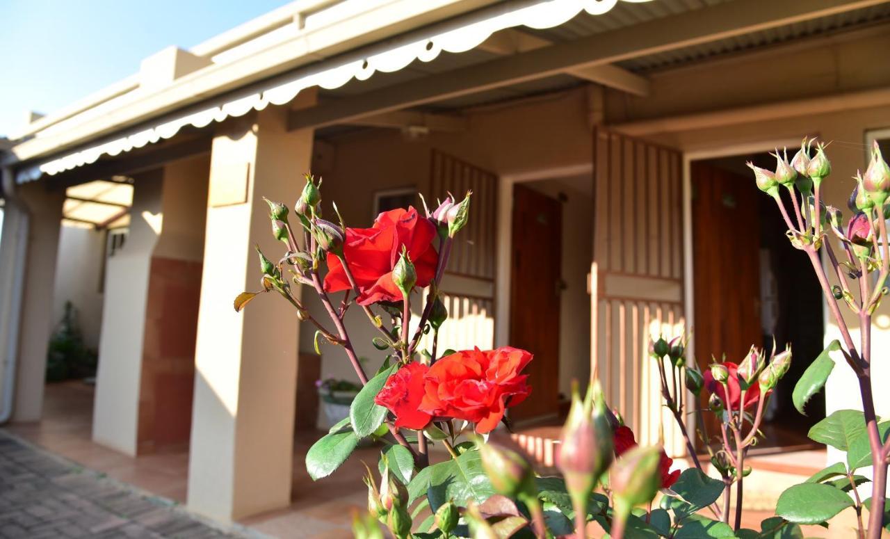 Villa Moria Peace Cottage Dullstroom Kültér fotó